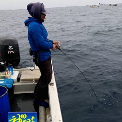 幕島丸 釣果