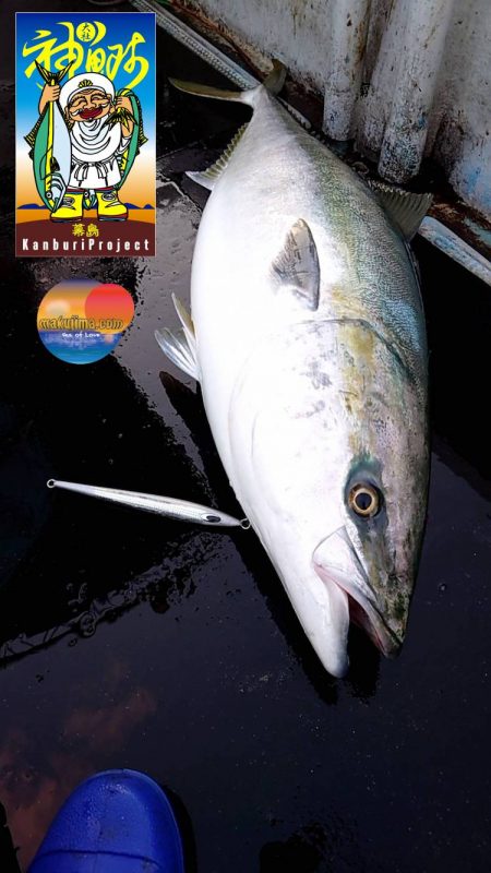 幕島丸 釣果