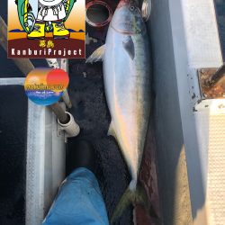 幕島丸 釣果
