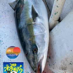 幕島丸 釣果