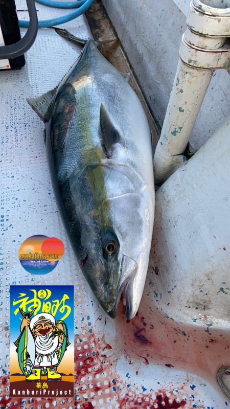 幕島丸 釣果