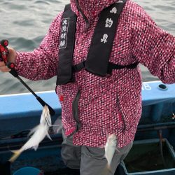 ヤザワ渡船 釣果