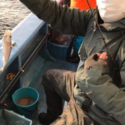 ヤザワ渡船 釣果