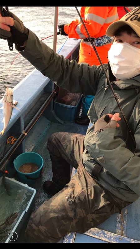 ヤザワ渡船 釣果