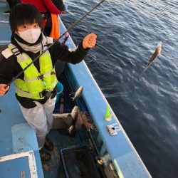 ヤザワ渡船 釣果