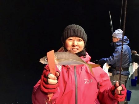 South Current 釣果