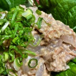 ブルースフィッシングサービス 釣果