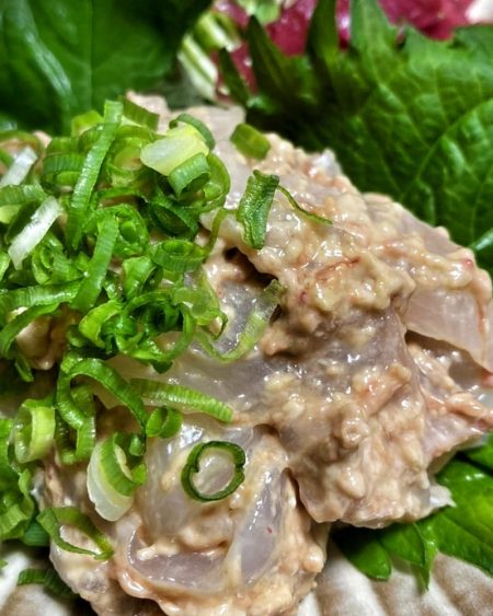 ブルースフィッシングサービス 釣果