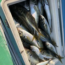 金沢八景鴨下丸 釣果