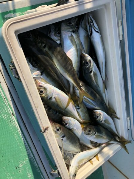 金沢八景鴨下丸 釣果