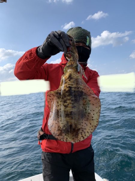 きずなまりん 釣果