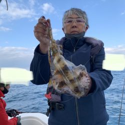 きずなまりん 釣果