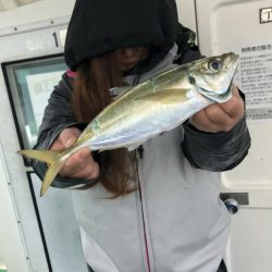 金沢八景鴨下丸 釣果