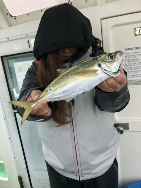 金沢八景鴨下丸 釣果