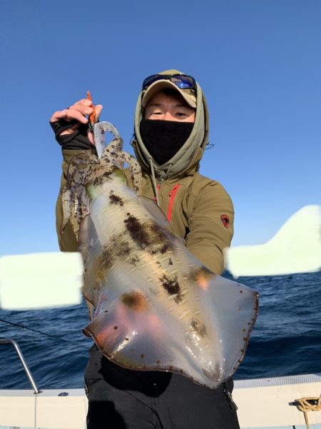 きずなまりん 釣果