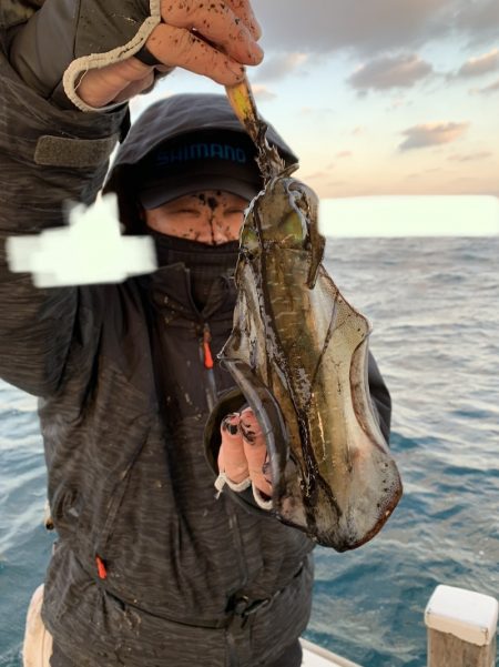 きずなまりん 釣果