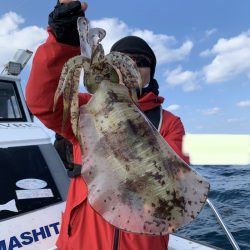 きずなまりん 釣果