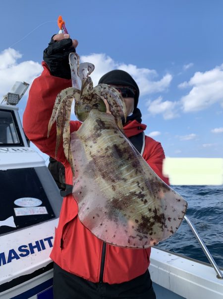きずなまりん 釣果