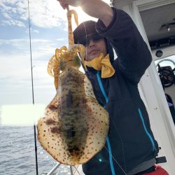 きずなまりん 釣果