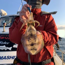 きずなまりん 釣果