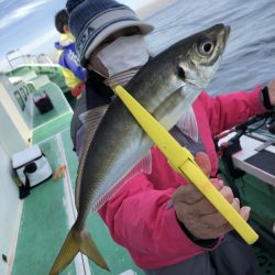 金沢八景鴨下丸 釣果