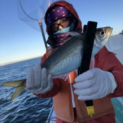 金沢八景鴨下丸 釣果