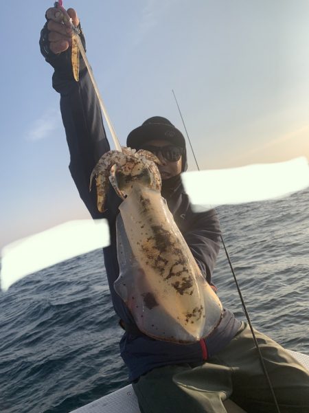 きずなまりん 釣果