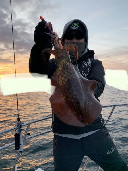 きずなまりん 釣果