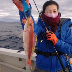 ARCADIAⅡ (アルカディアⅡ) 釣果