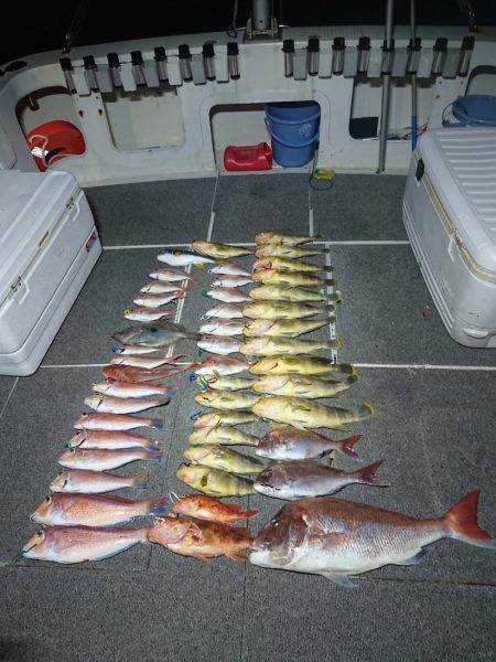 ARCADIAⅡ (アルカディアⅡ) 釣果