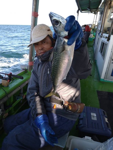 小島丸 釣果