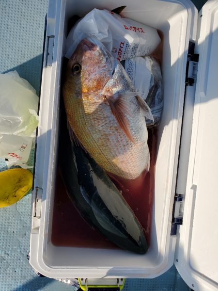 春盛丸 釣果