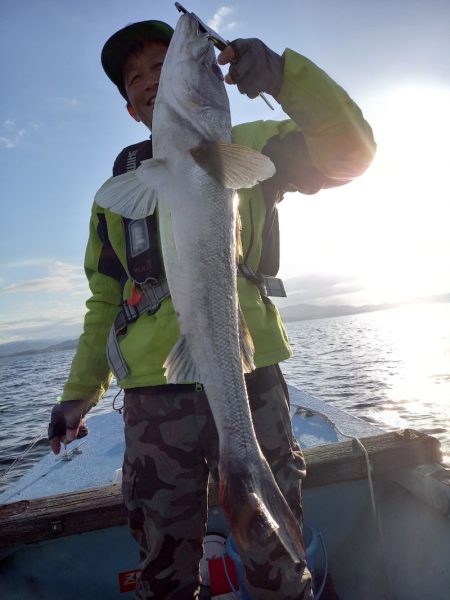 アマテラス 釣果