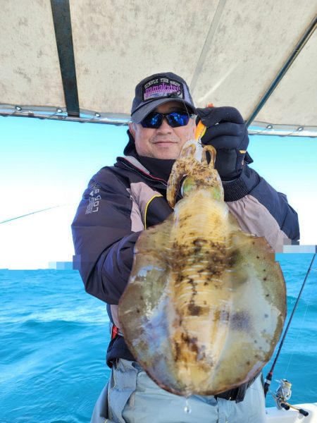 ソルトウォーターガイドフレンズ 釣果