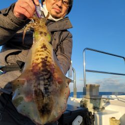 ソルトウォーターガイドフレンズ 釣果