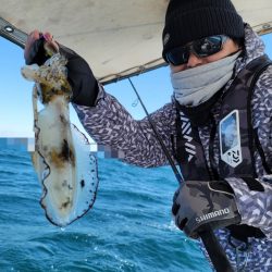 ソルトウォーターガイドフレンズ 釣果