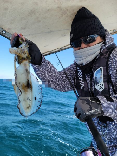 ソルトウォーターガイドフレンズ 釣果