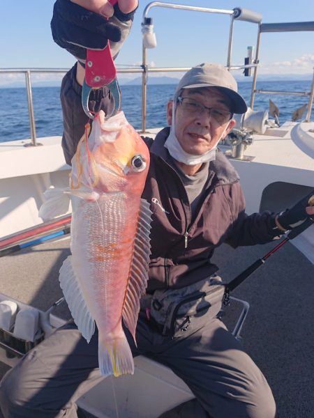 ARCADIAⅡ (アルカディアⅡ) 釣果