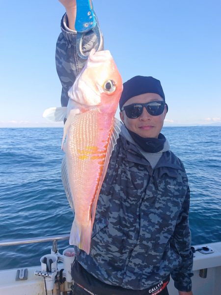 ARCADIAⅡ (アルカディアⅡ) 釣果