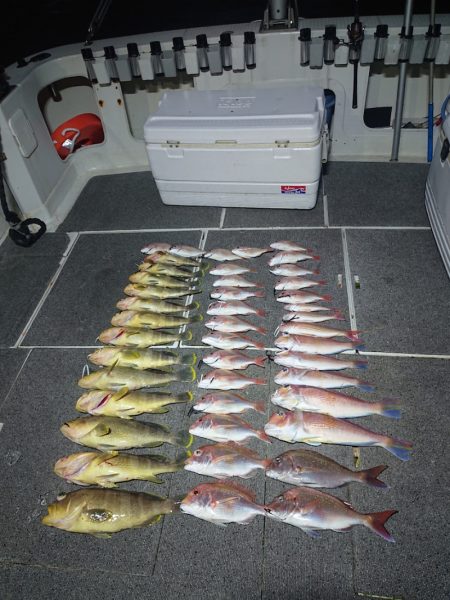 ARCADIAⅡ (アルカディアⅡ) 釣果