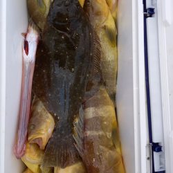 第二龍勢丸 釣果