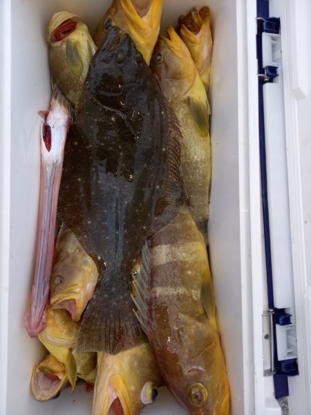 第二龍勢丸 釣果