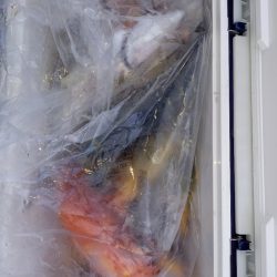 第二龍勢丸 釣果