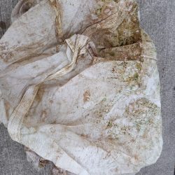 第二龍勢丸 釣果