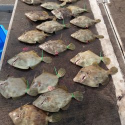 ブルースフィッシングサービス 釣果