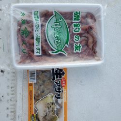 bay style 釣果