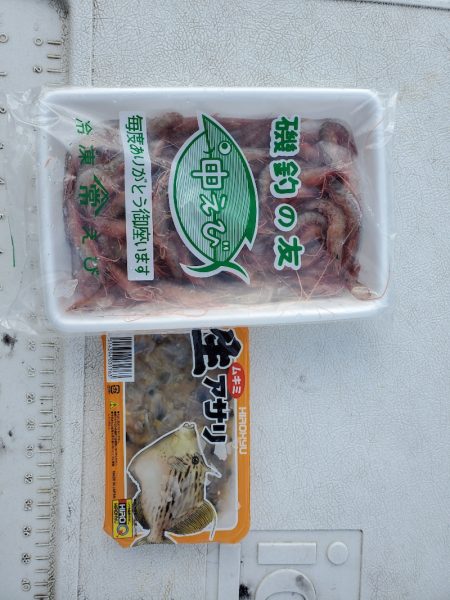 bay style 釣果