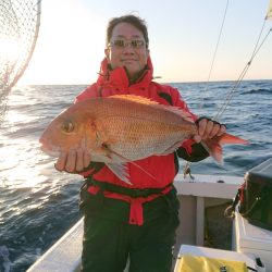 エンペラー 釣果