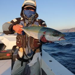 エンペラー 釣果