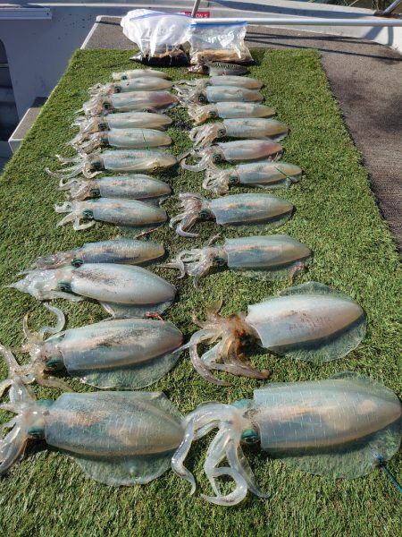 ブルースフィッシングサービス 釣果